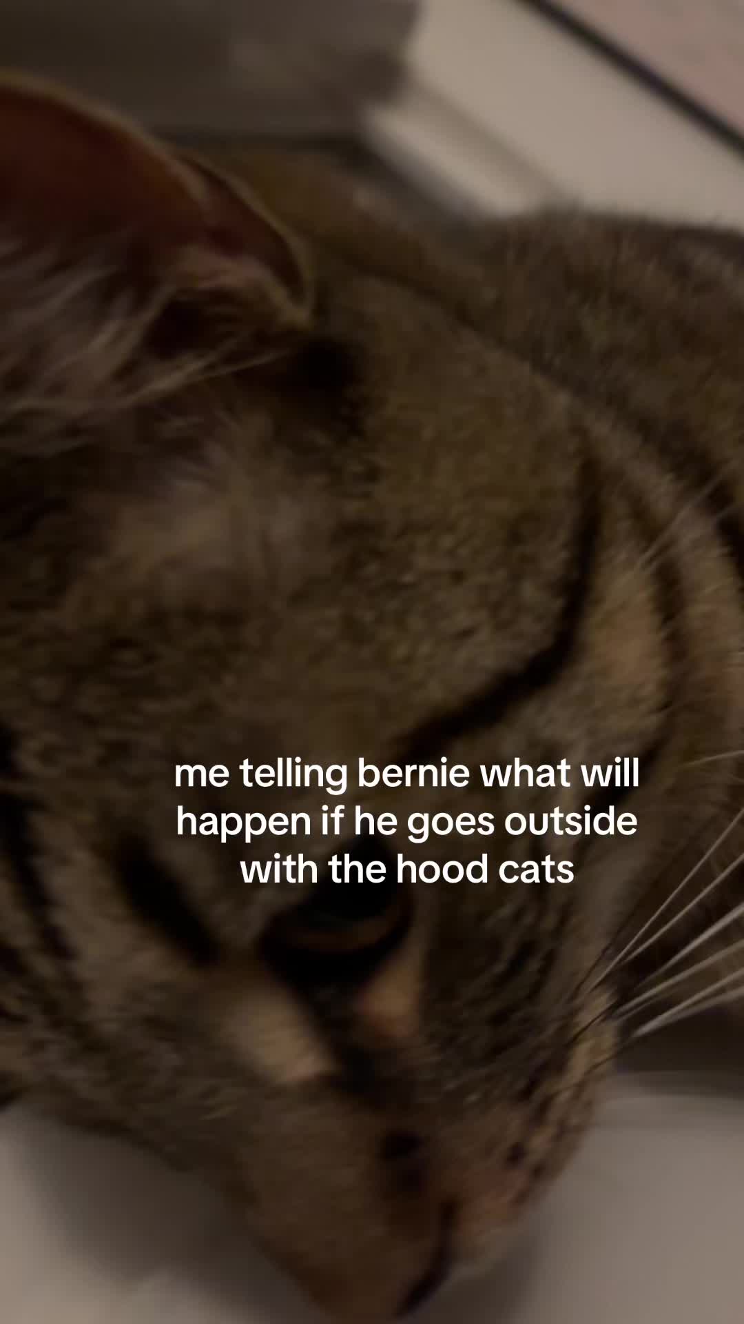 @erin