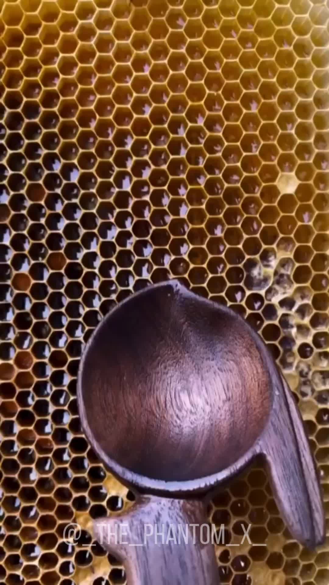 @_phantom_