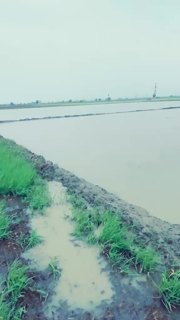 @Hitesh Kumar