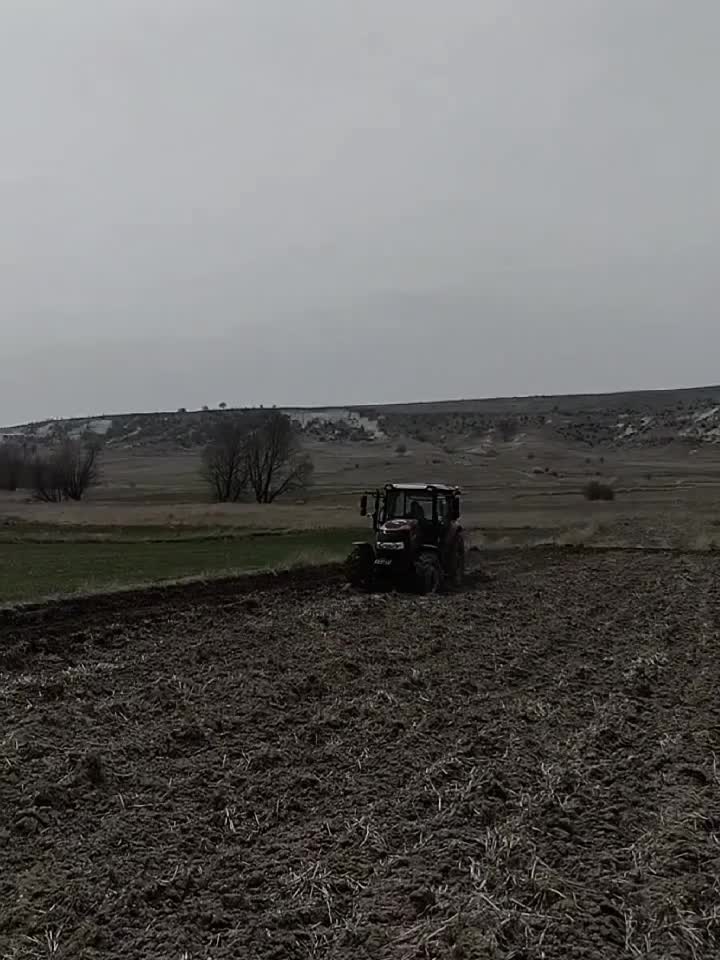 @Zeki &Ouml;zalp
