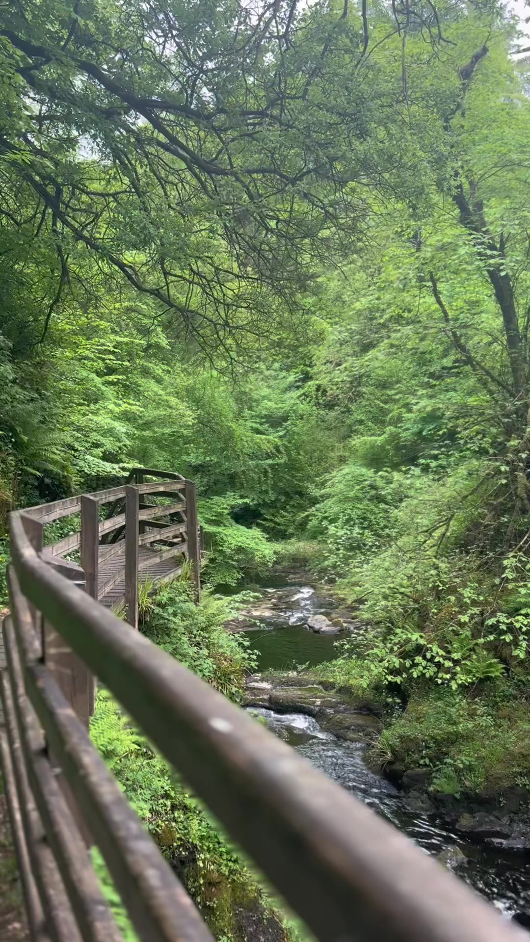 @Seanán Ó Catharnaigh