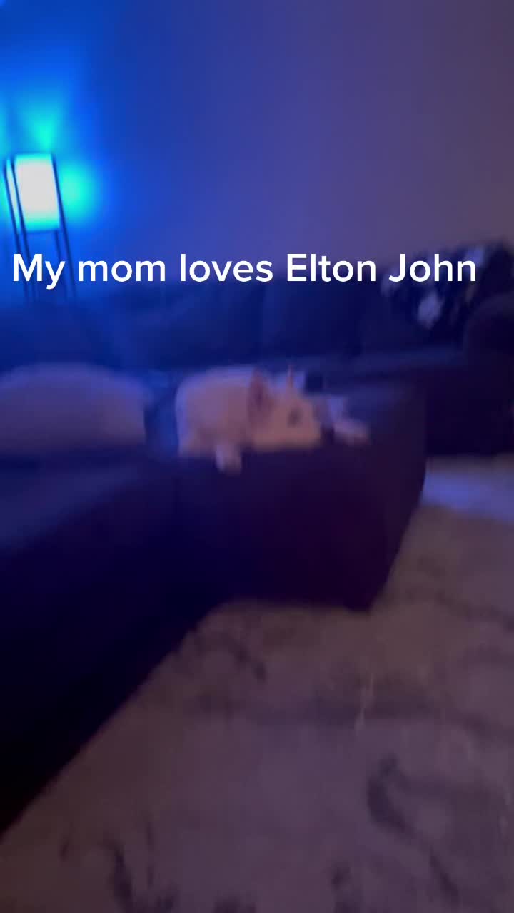@Jmc33