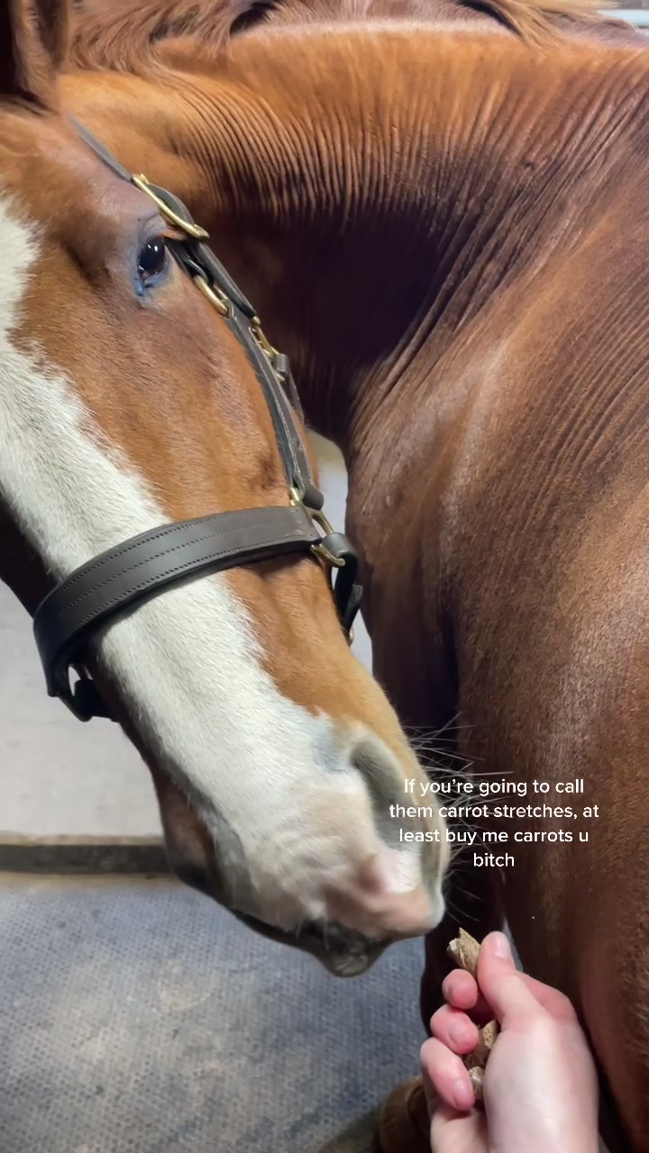 @Chunky Pony