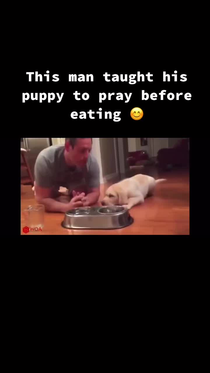 @catholicinquiries
