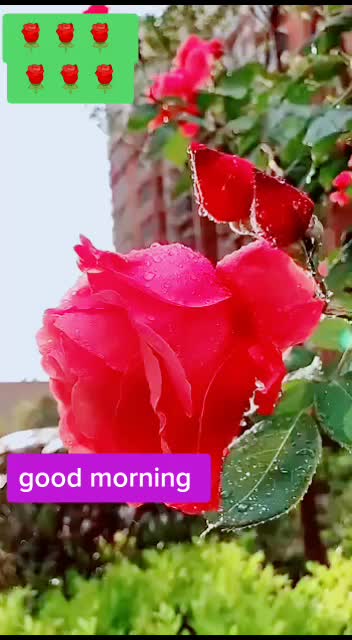 @Gautam Sontakke@7171