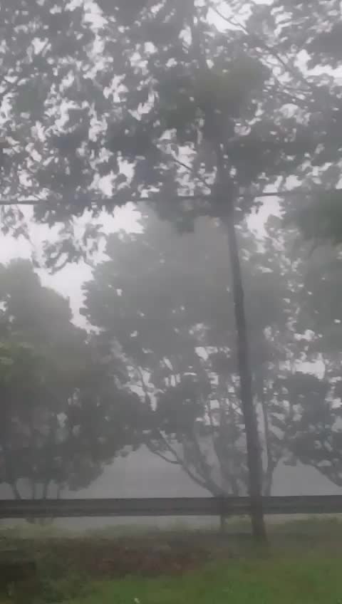 @Baratih Raja Raja
