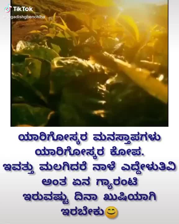 @shruthin722