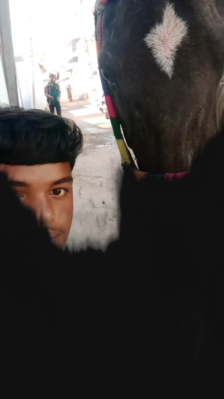 @🙏 દેગામા છોરૂ 🙏 👑