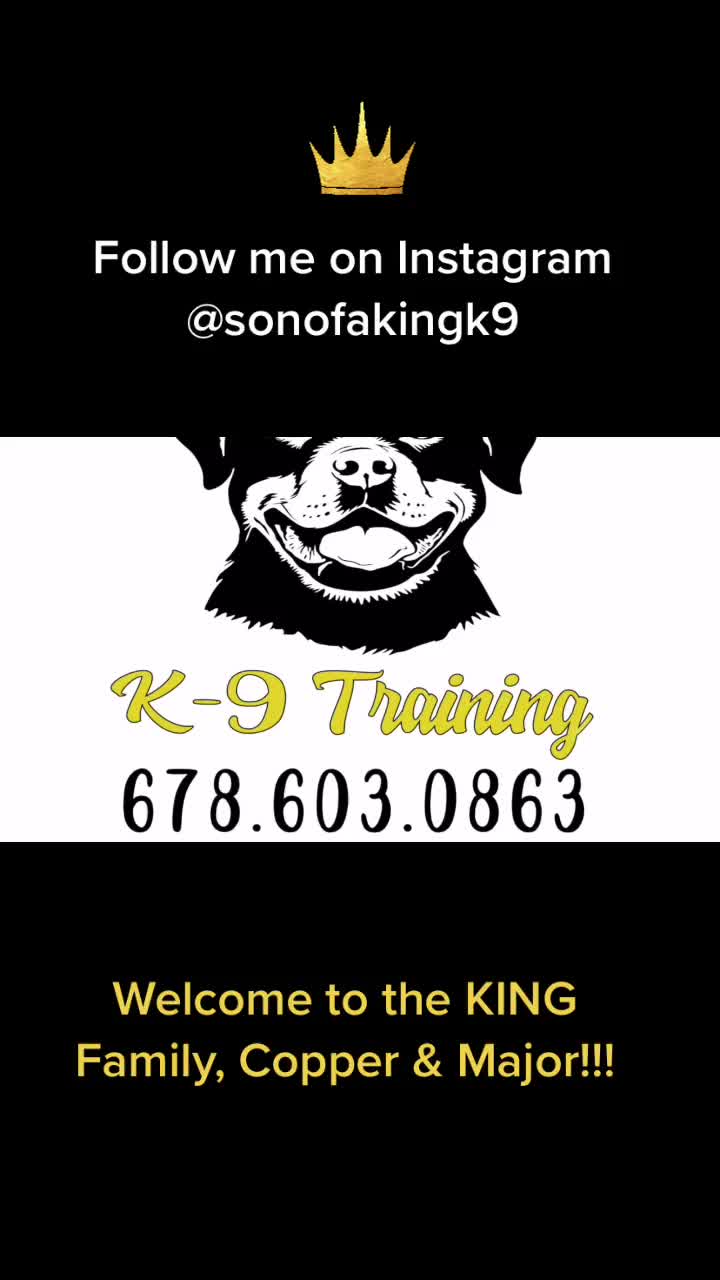 @Son of a KING K9
