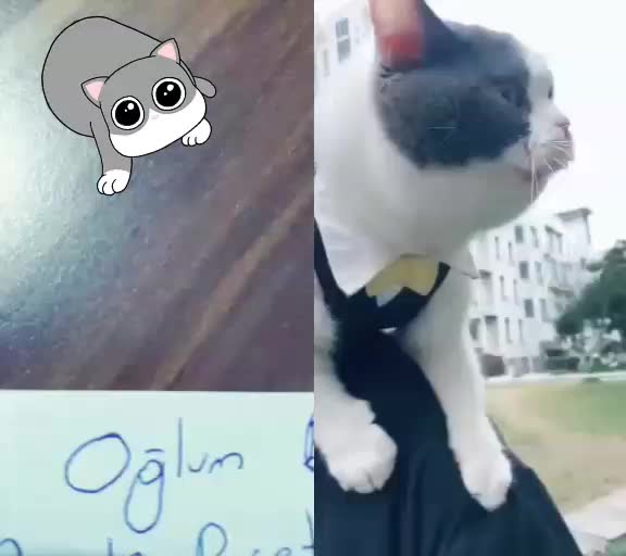 @sevil1903