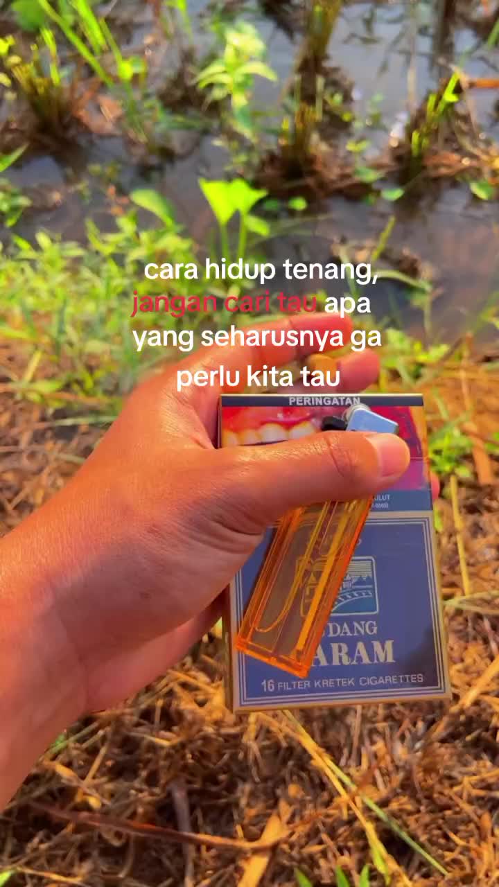 @NKL ┃REXSI