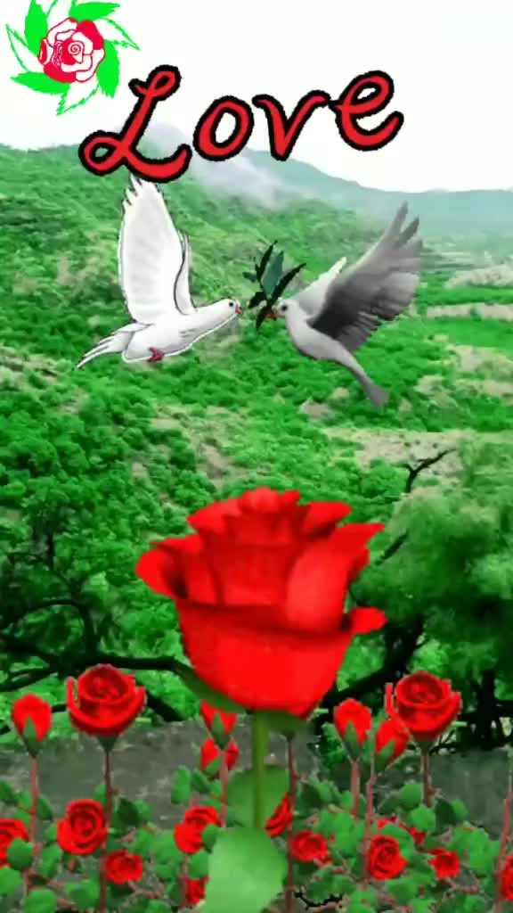 @Khirod🦋Behera