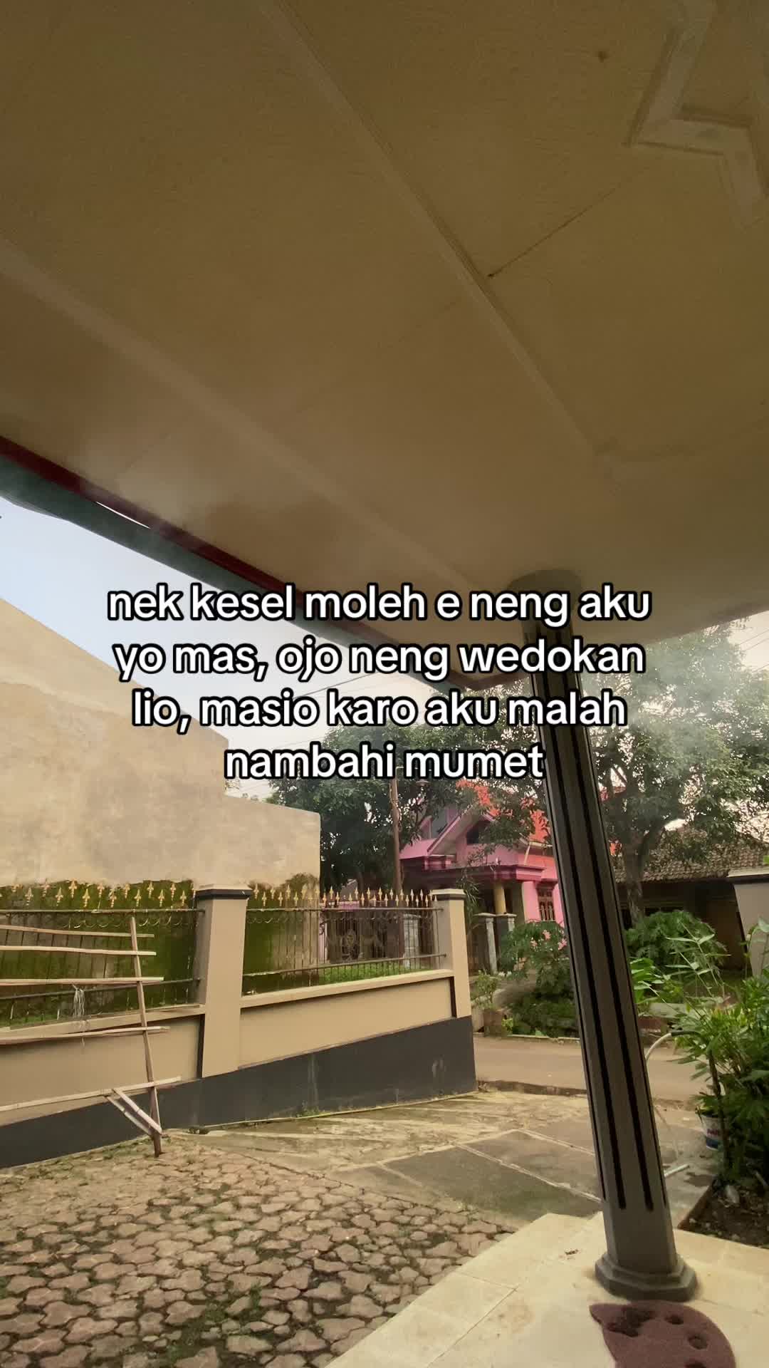 @Ness