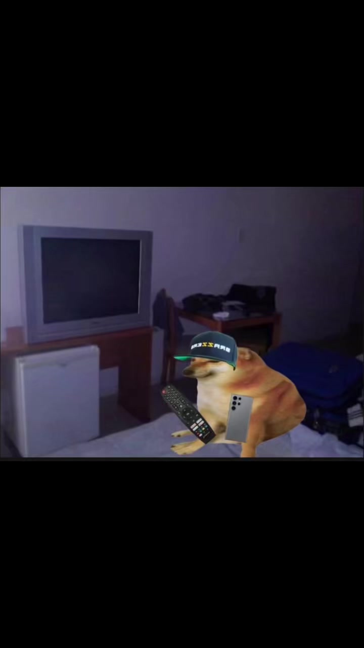 @Cheems_edits