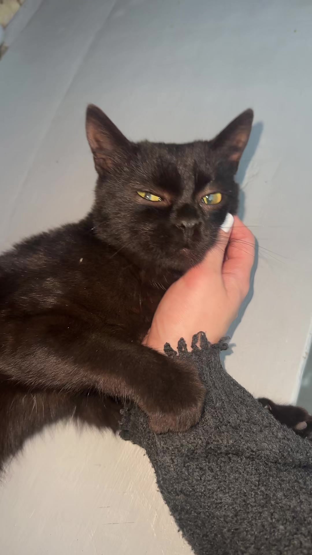@Кіса🐈&zwj;⬛