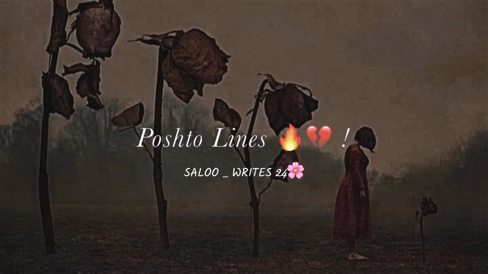 @𝐒𝐀𝐋𝐎𝐎_𝐖𝐑𝐈𝐓𝐄𝐒 🌸