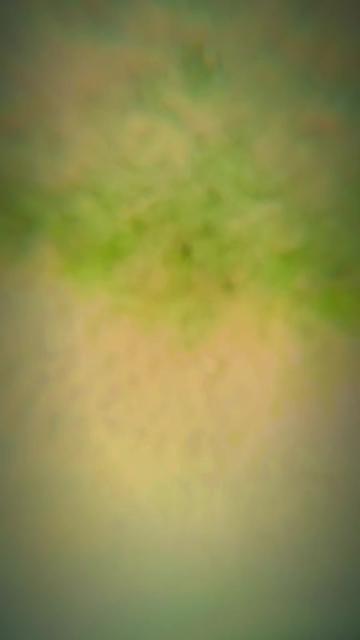 @๐Gupta king ๐น๐ฅ๐ช