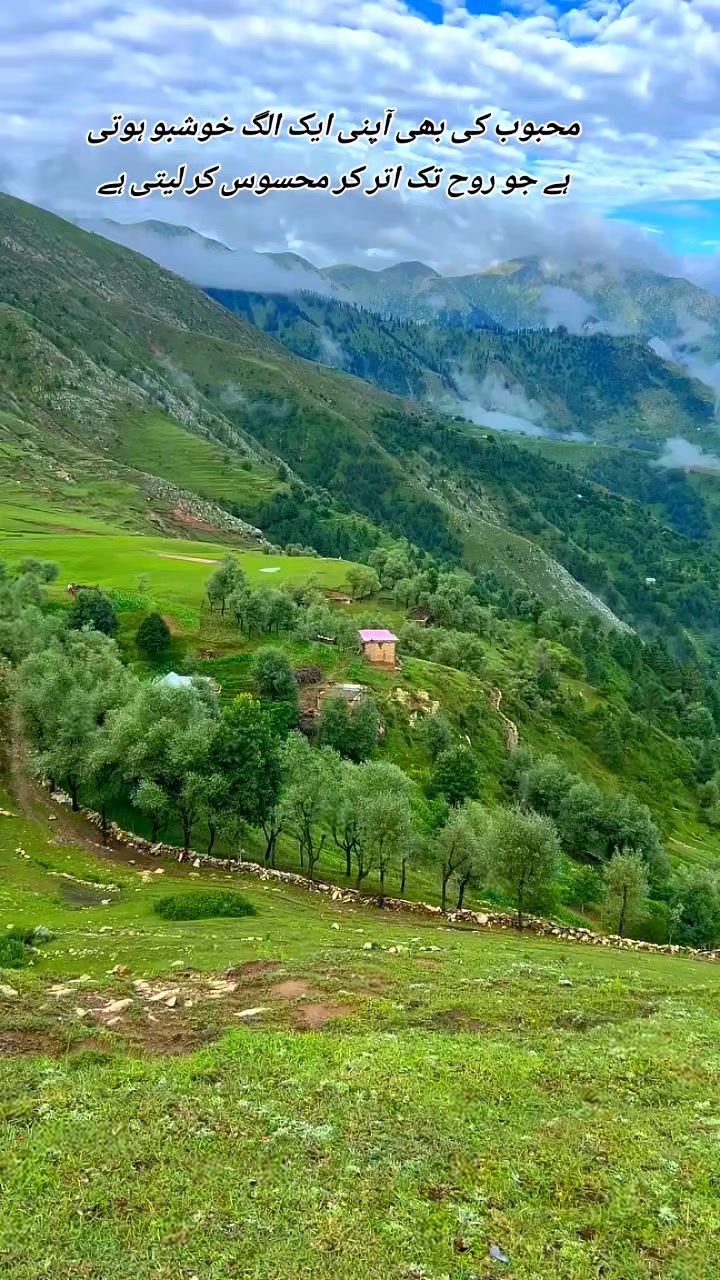 @💫❤️🔥دل کا بادشاہ❤️🔥💫