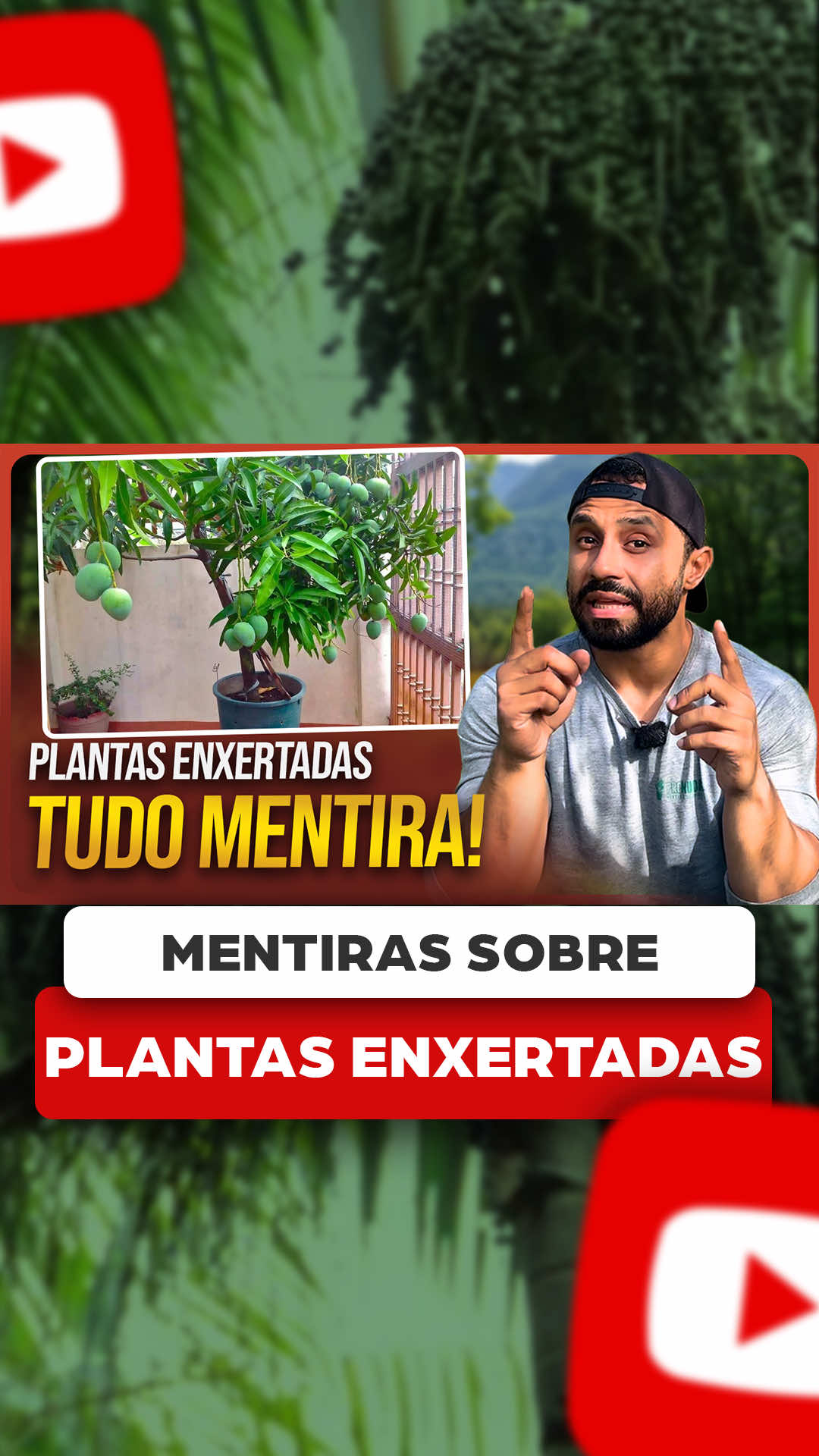 @ViveiroProMudas