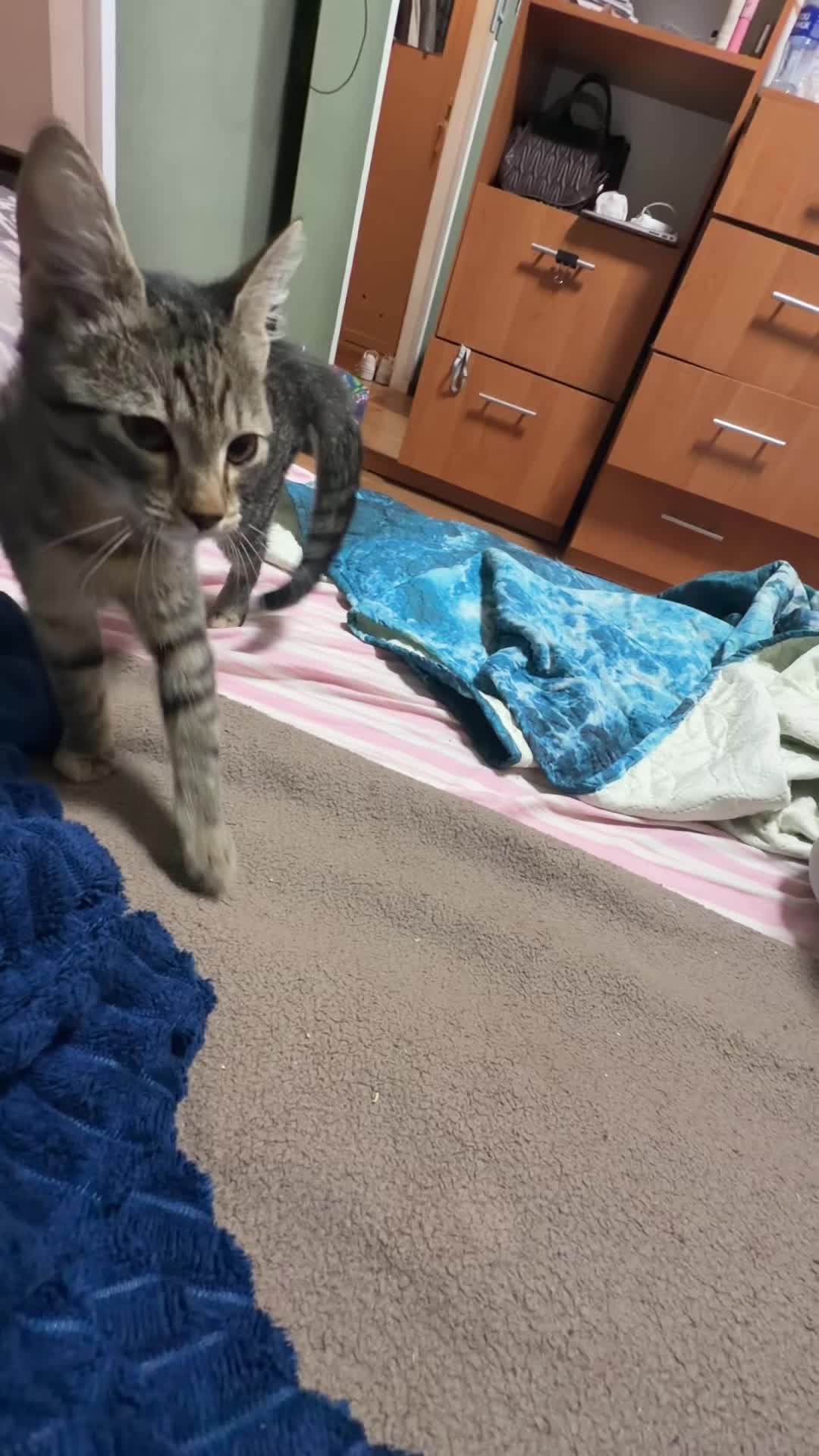 @Варюха