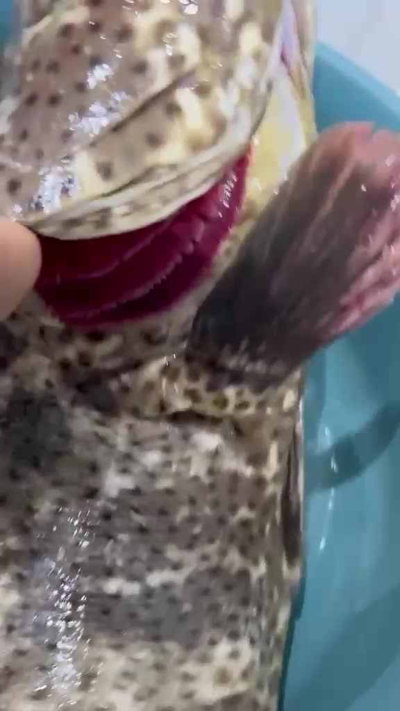@مطعم القوز للأسماك.الدرب🧿