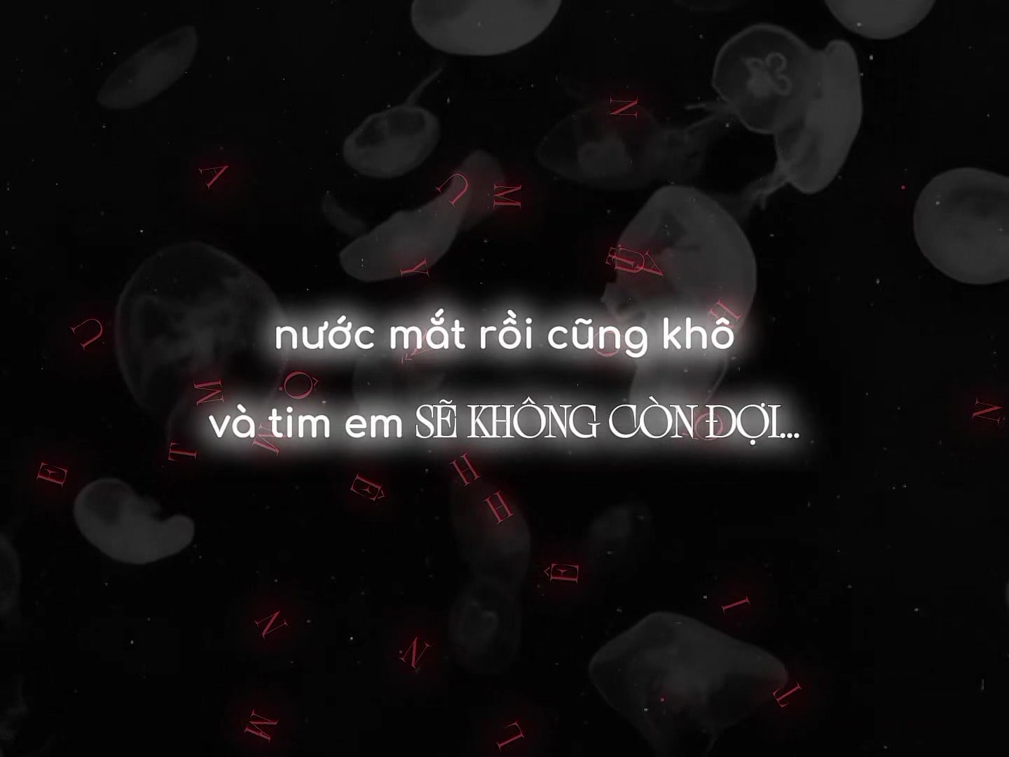 @𝙣𝙩𝙩𝙣 𝙢𝙪𝙨𝙞𝙘💤