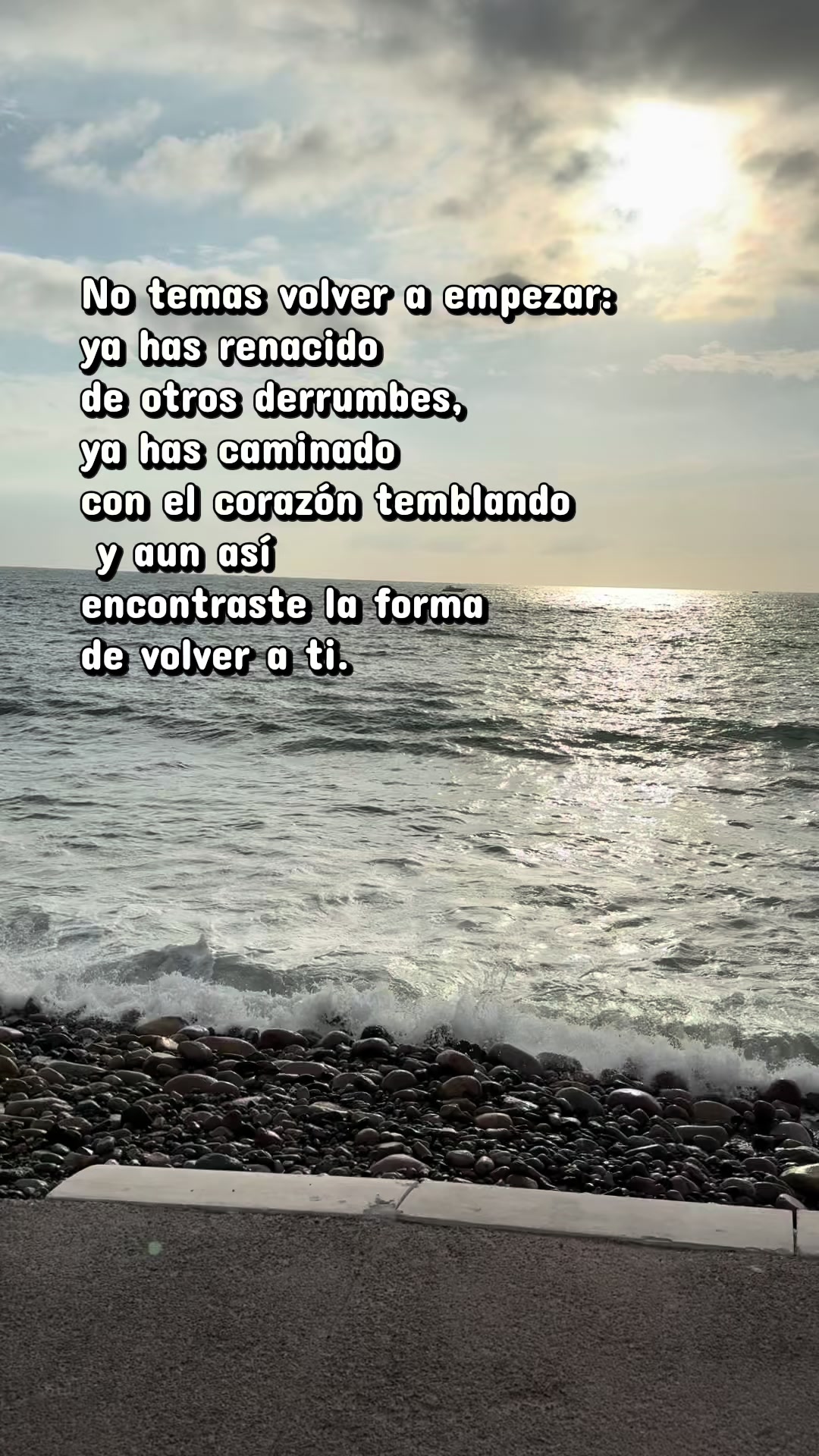 @Mariana morales
