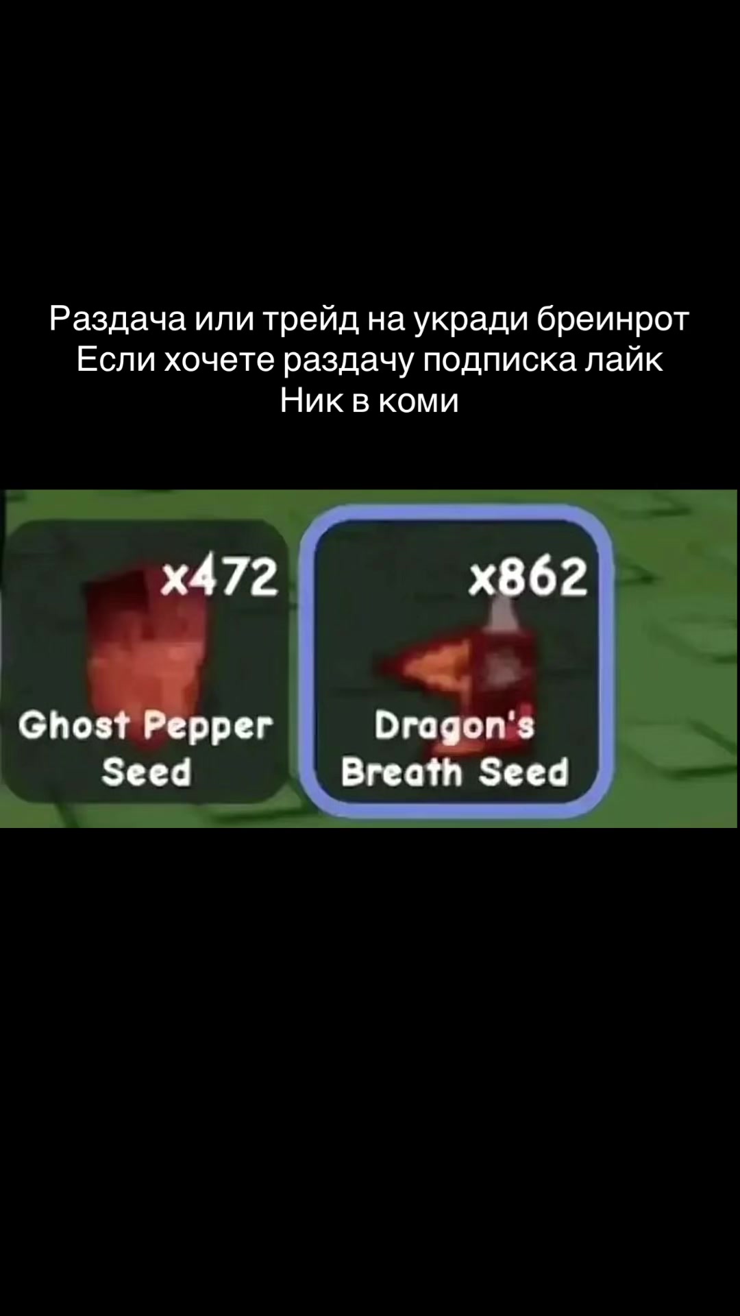 @frains64