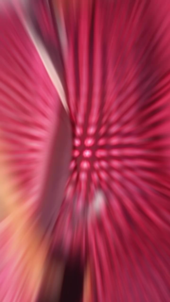 @nasra 5440