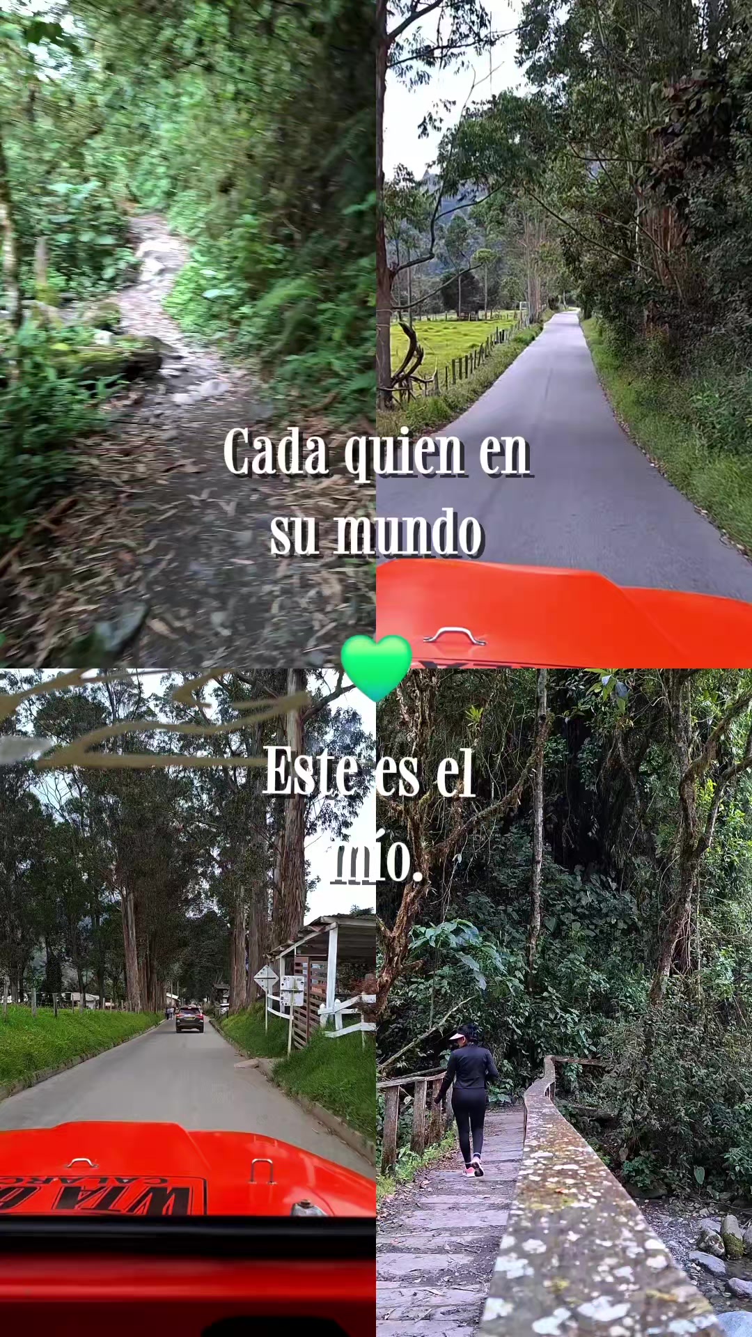 @LUISA TORRES🦋🤌✨