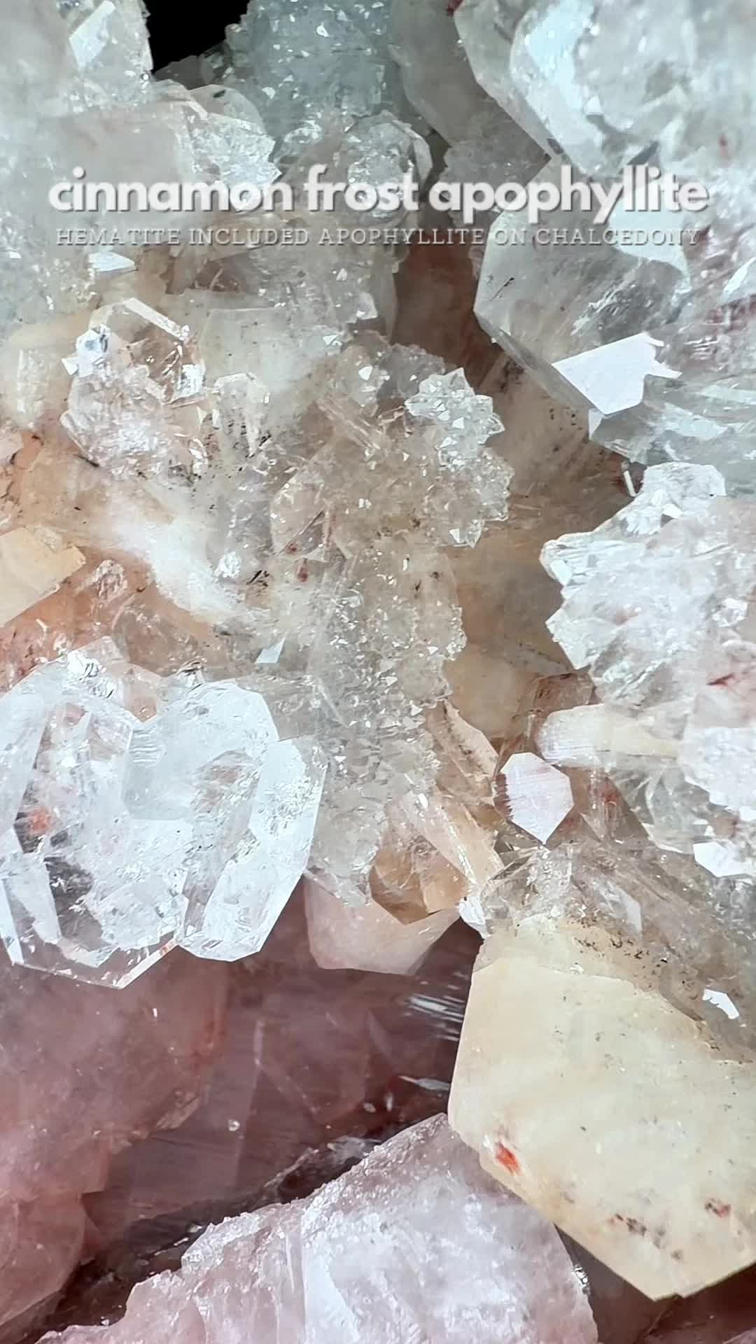 @Crystal Live Emporium✨Natalie