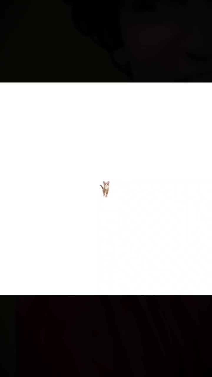 @имп. и промокоды