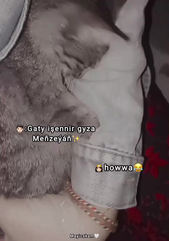 @𝔍𝔢𝔫𝔫𝔢𝔱.🧸