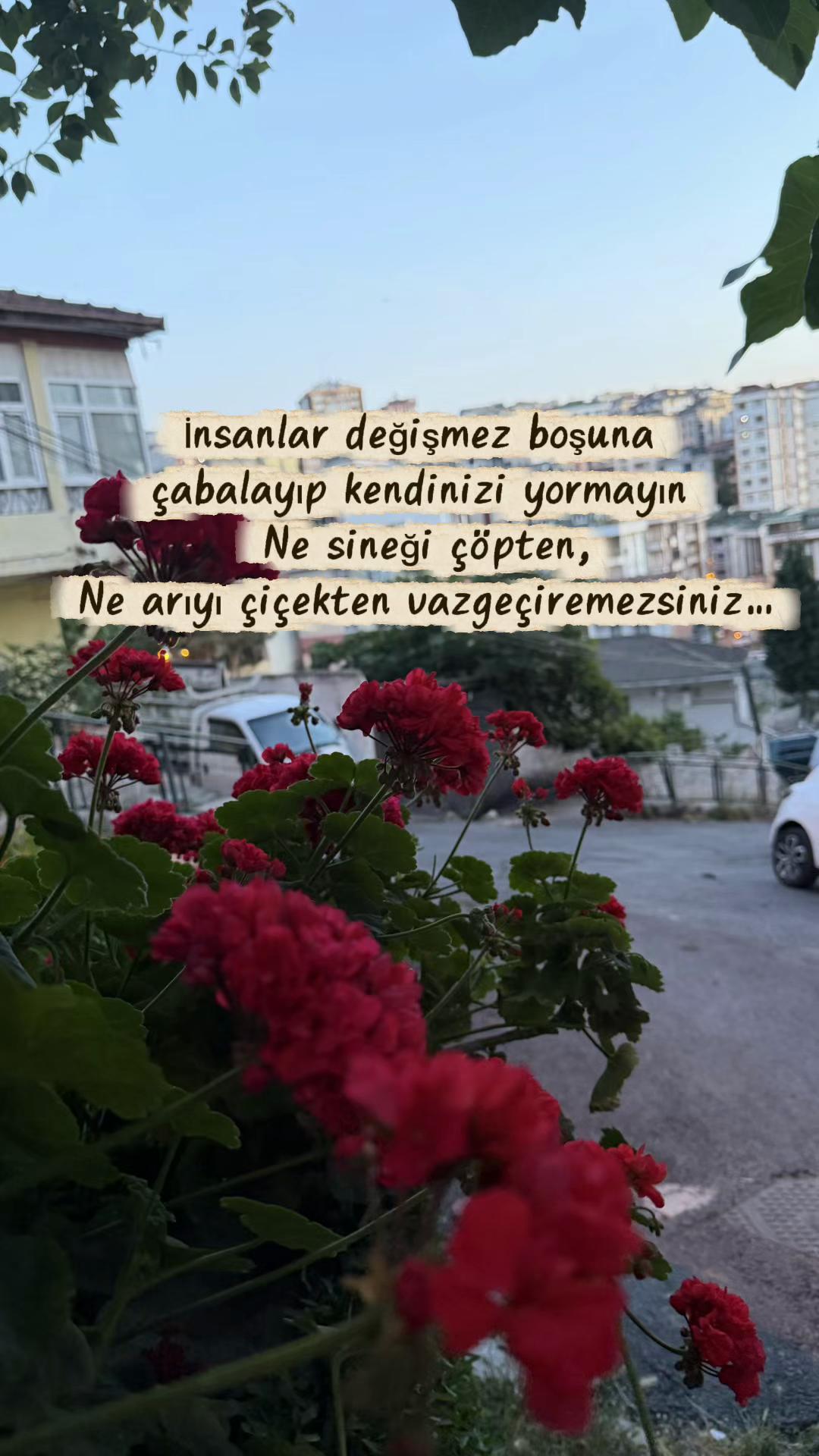 @〰️&bull;.🤍58T&uuml;lay34🤍.&bull;〰️