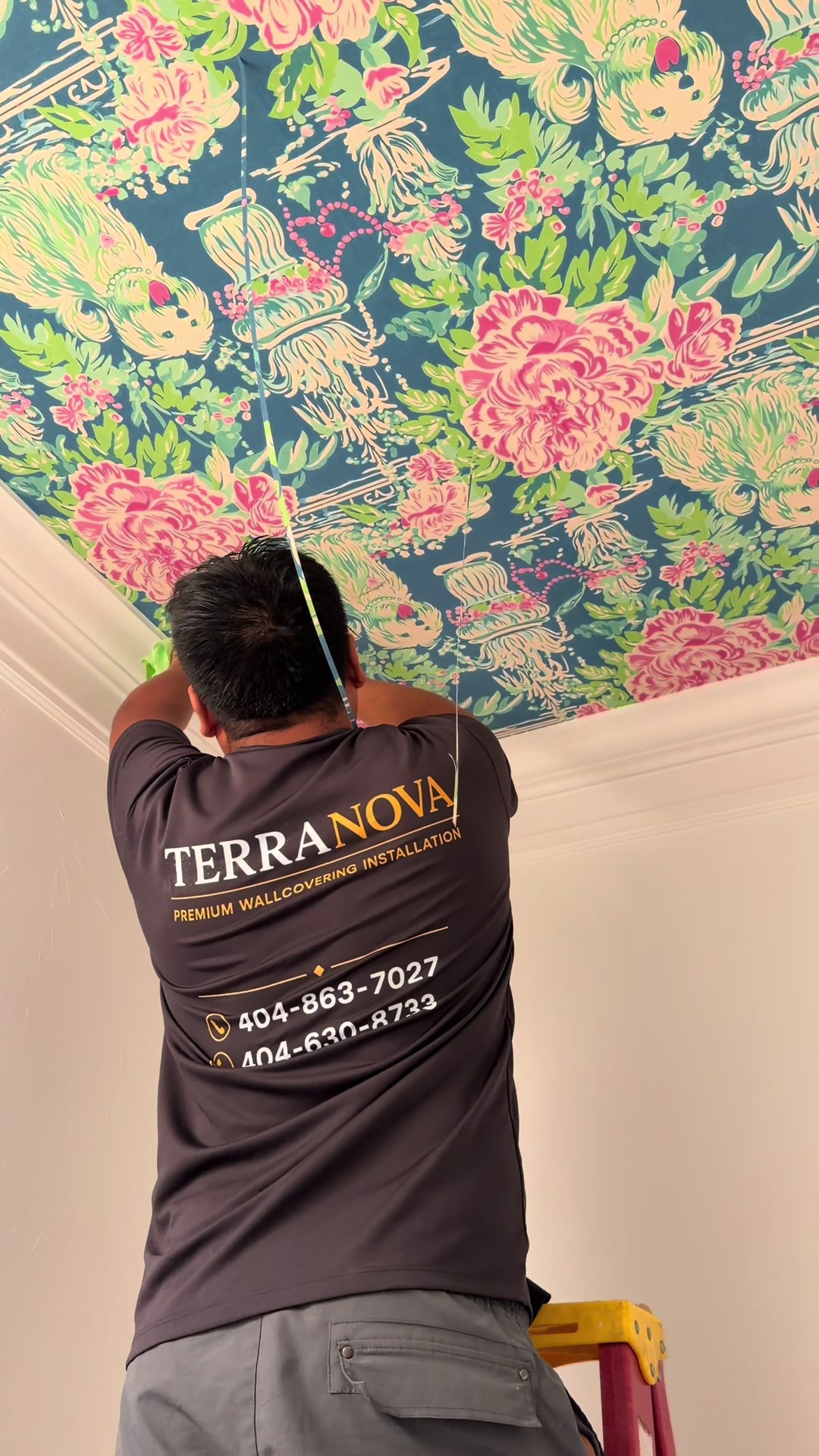 @TERRANOVA BUILD
