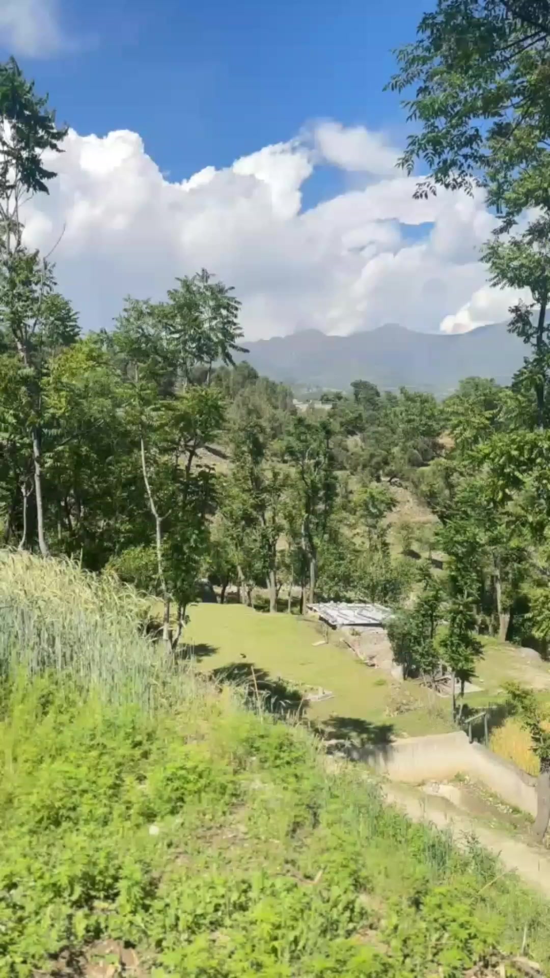 @Akbar Khan