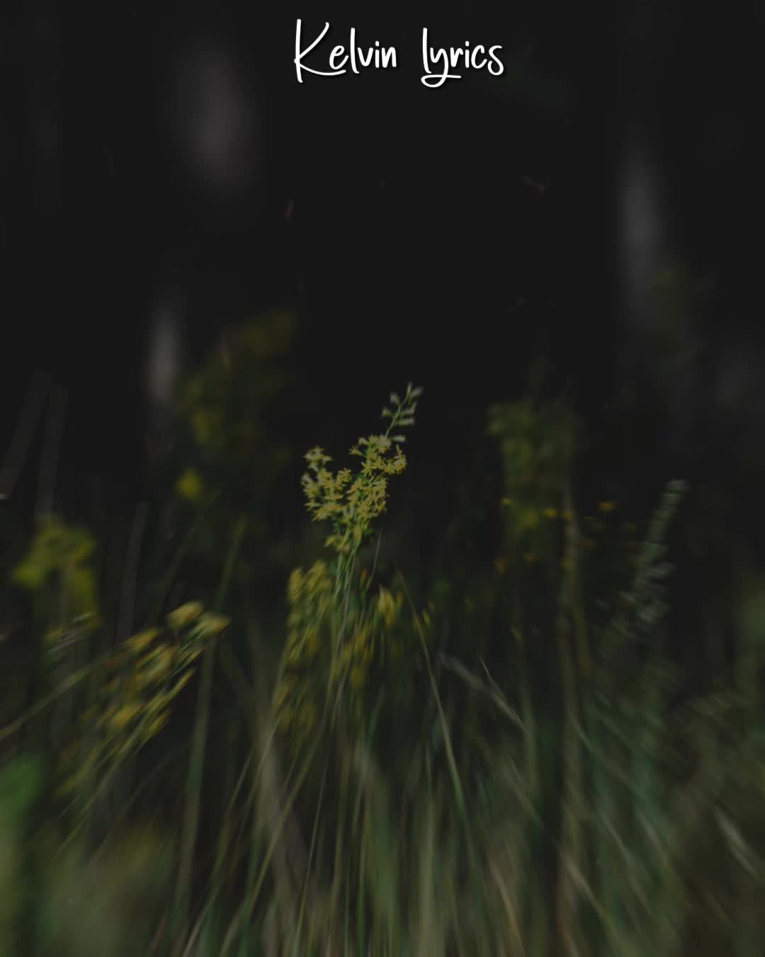 @𝐊𝐈𝐍𝐆 𝐎𝐅 𝐋𝐘𝐑𝐈𝐂𝐒