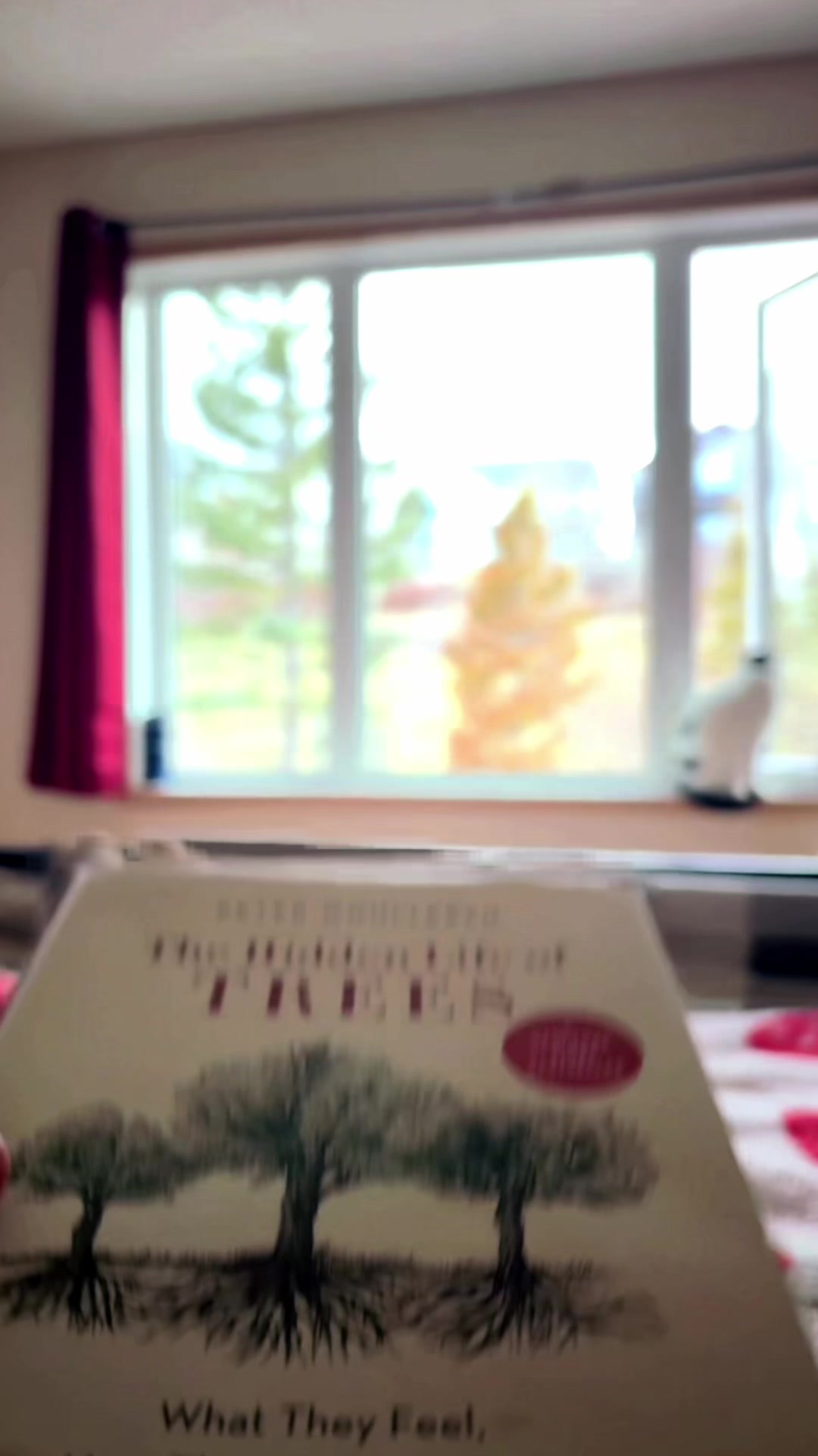 @Cozywithteaandbooks🇨🇦