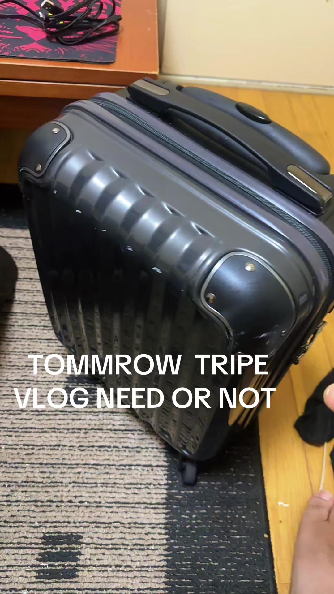 @SNORLAX VLOG💤🦍🦍