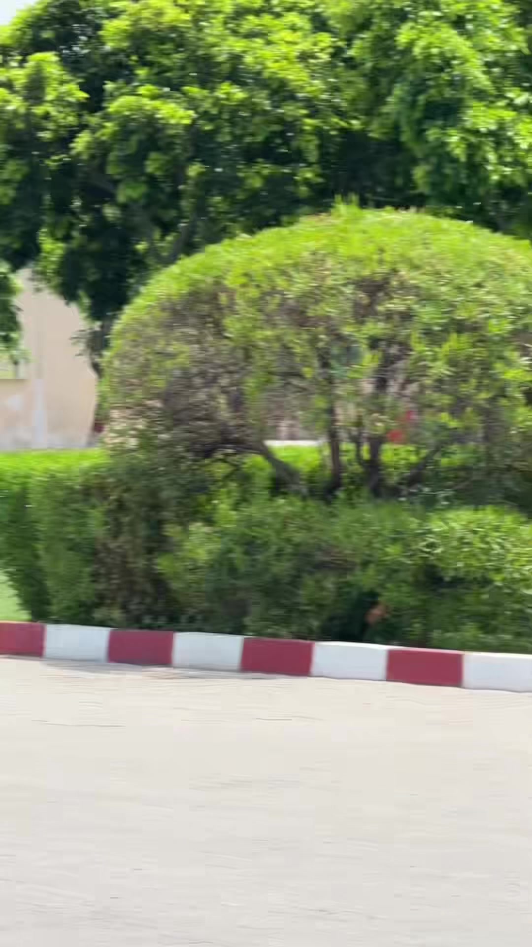 @M.HaSSaN 🇵🇰