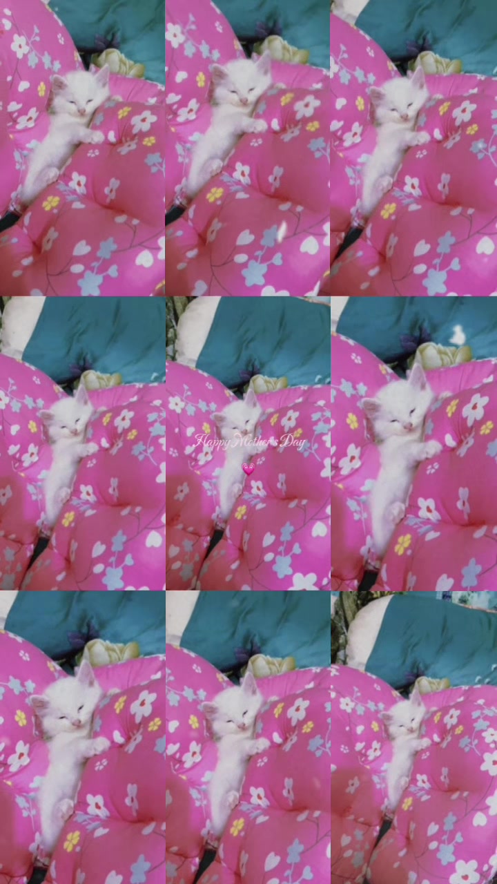 @🥰moni🥰