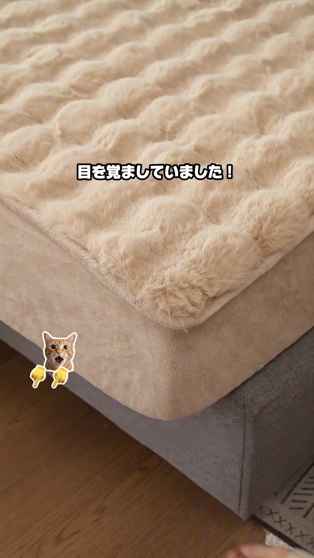 @自由の女神🗽