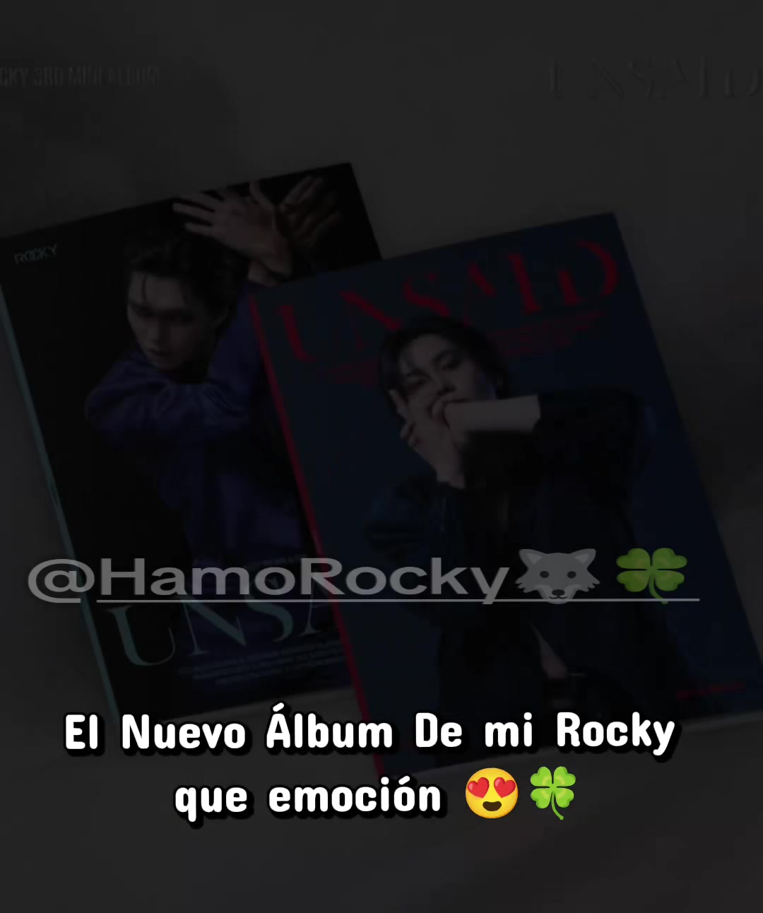 @Hamo Rocky🐺🍀
