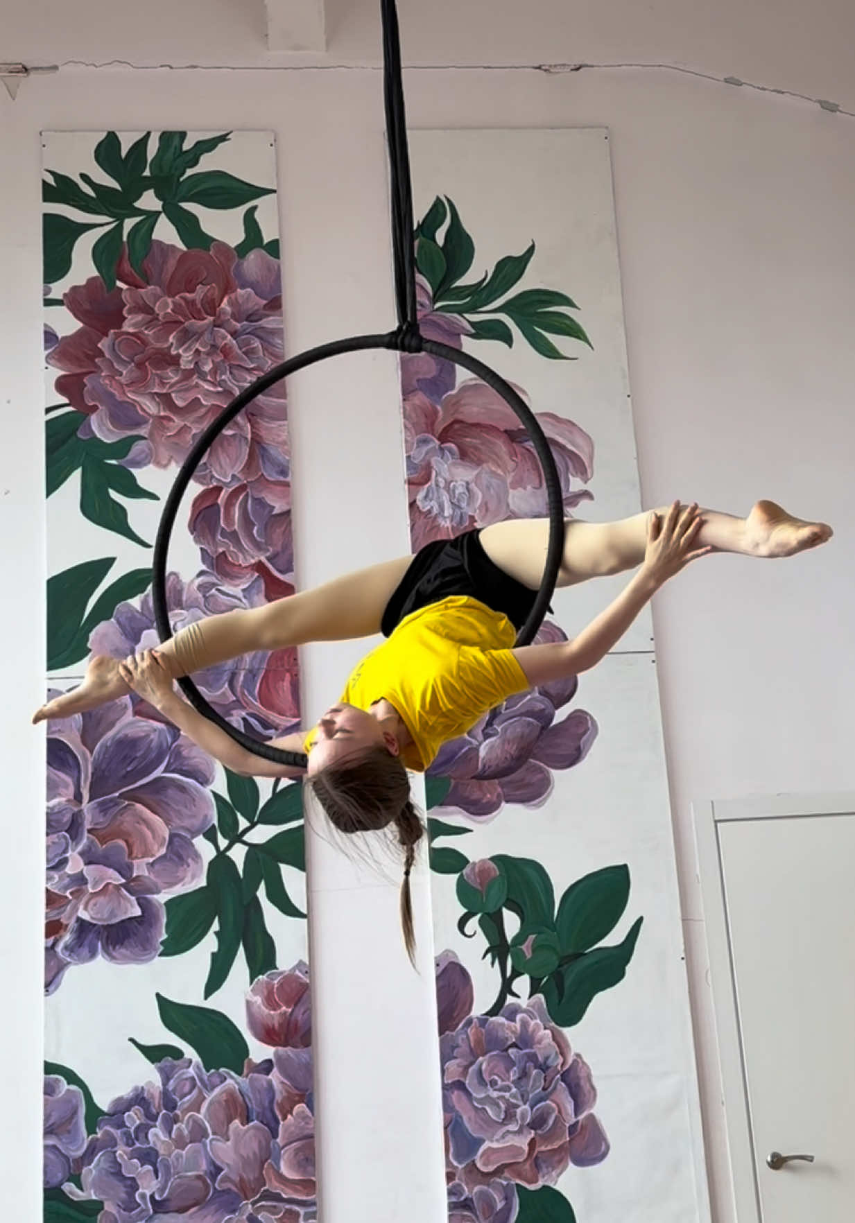 @Wellery Aerial Studio 🌸