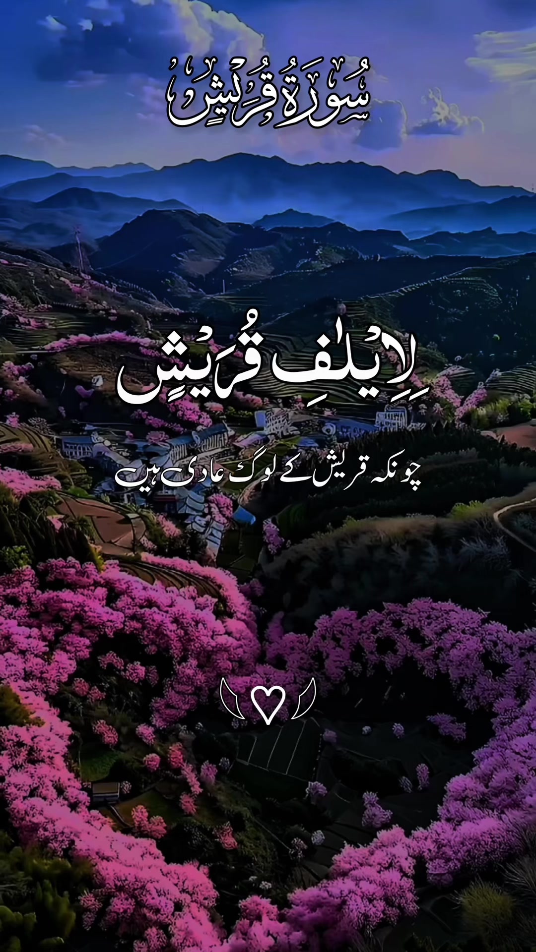 @❣️ Words of Allah ❣️