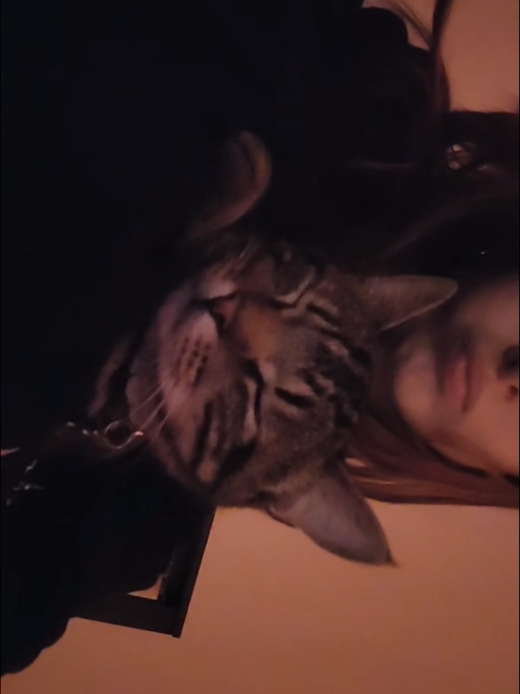 @𝒎𝒊𝒐 ☆