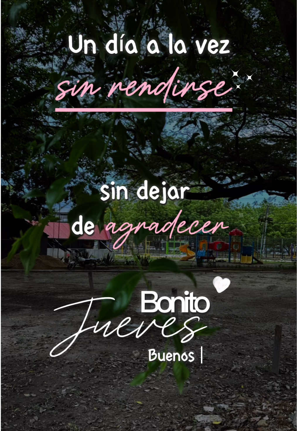 @Parque de Feria San Jacinto