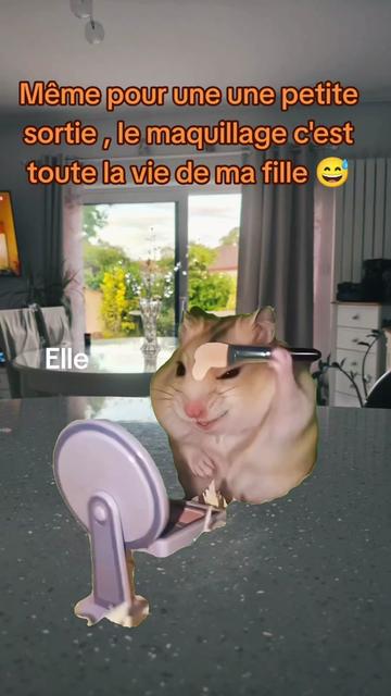 @iode_241