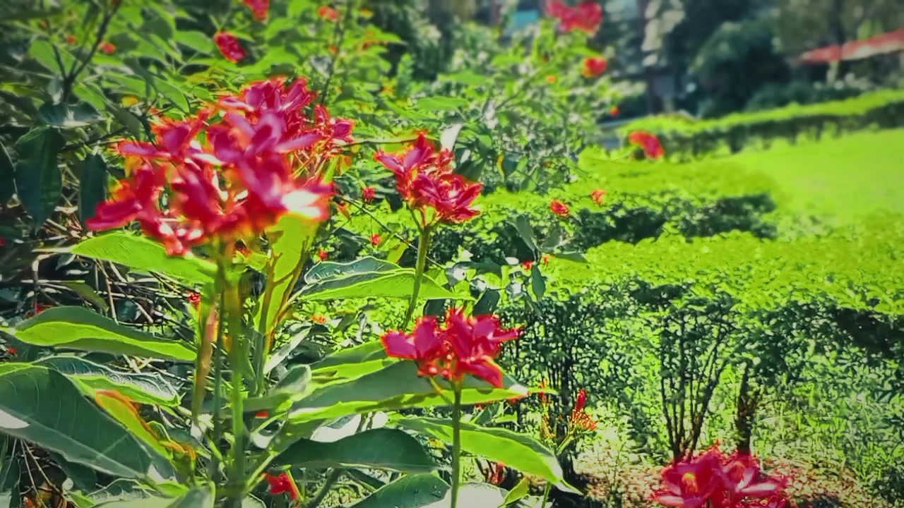 @_Flower's_queen_đđ°