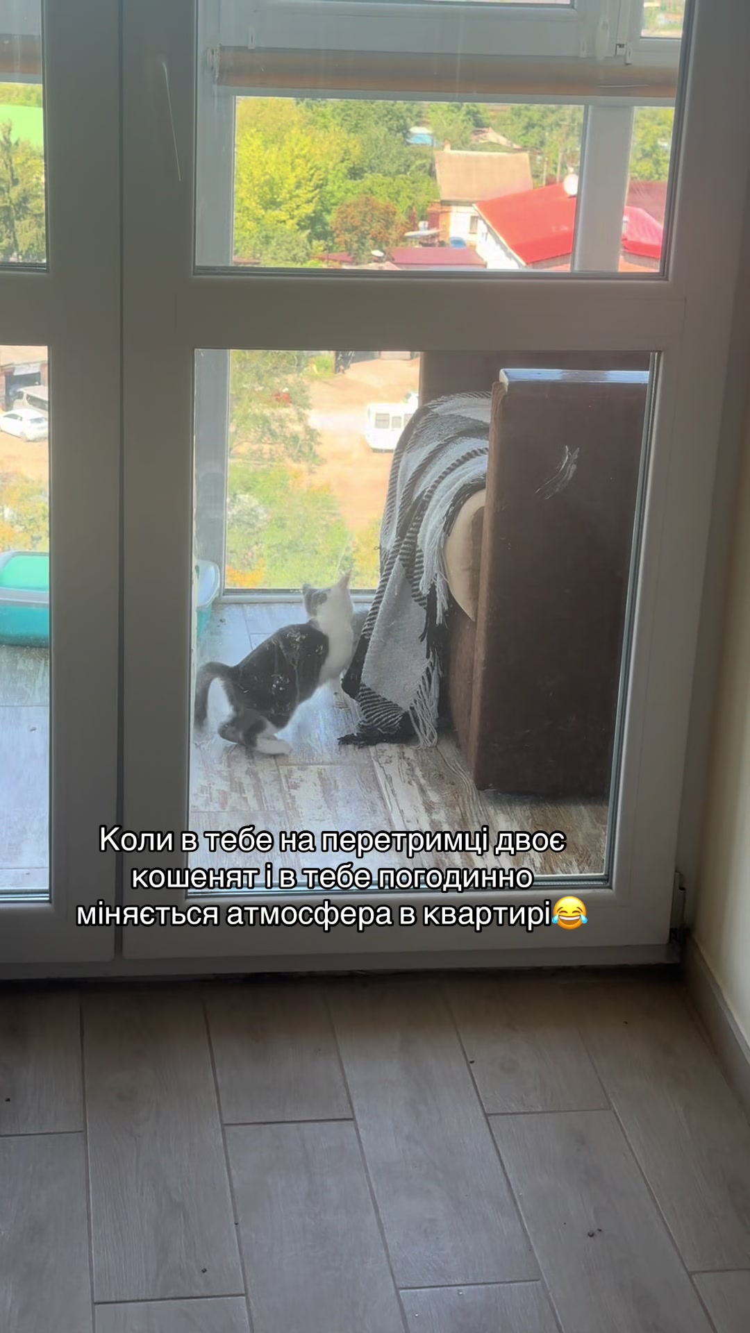 @Корнелія Удовенко